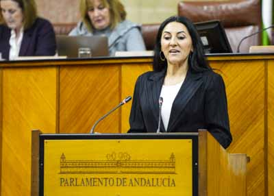 Defiende la enmienda a la totalidad presentada por el G.P. Por Andaluca su portavoz adjunta, Alejandra Durn