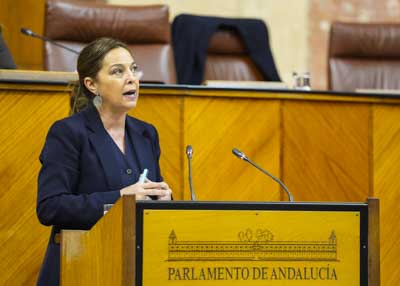  Mara Isabel Ambrosio, del G.P. Socialista, presenta una enmienda a la totalidad al proyecto de ley de patrimonio cultural