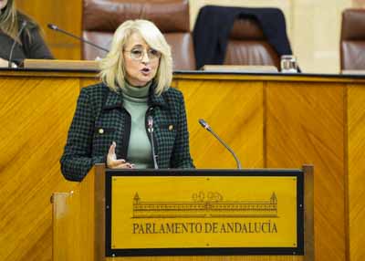 Posiciona al Grupo Popular en el debate la diputada Mara Pilar Pintor 
