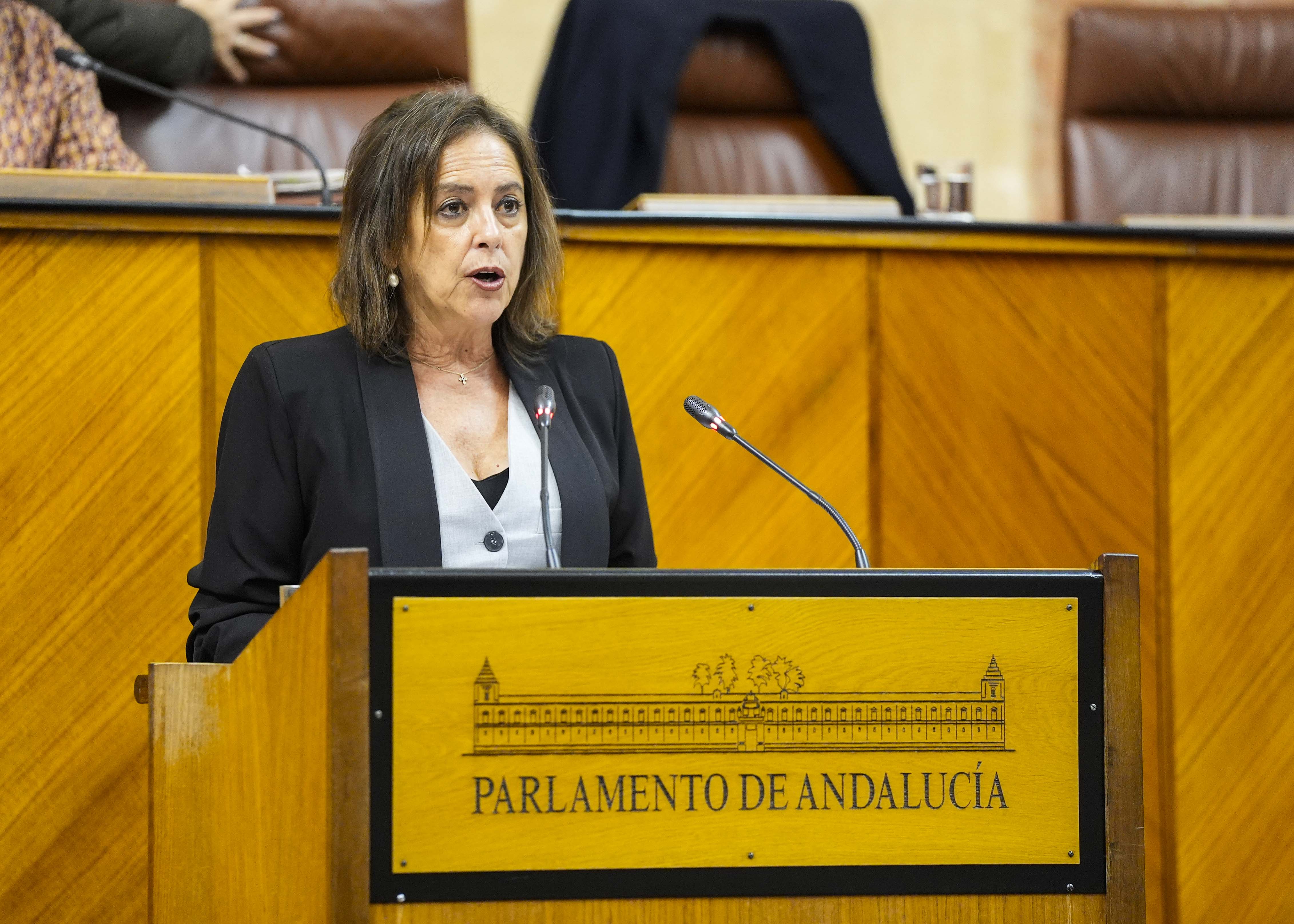 Catalina Garca, consejera de Sostenibilidad y Medio Ambiente, presenta el Proyecto de Ley para la Gestin Ambiental de Andaluca  