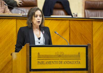 Catalina Garca, consejera de Sostenibilidad y Medio Ambiente, presenta el Proyecto de Ley para la Gestin Ambiental de Andaluca  