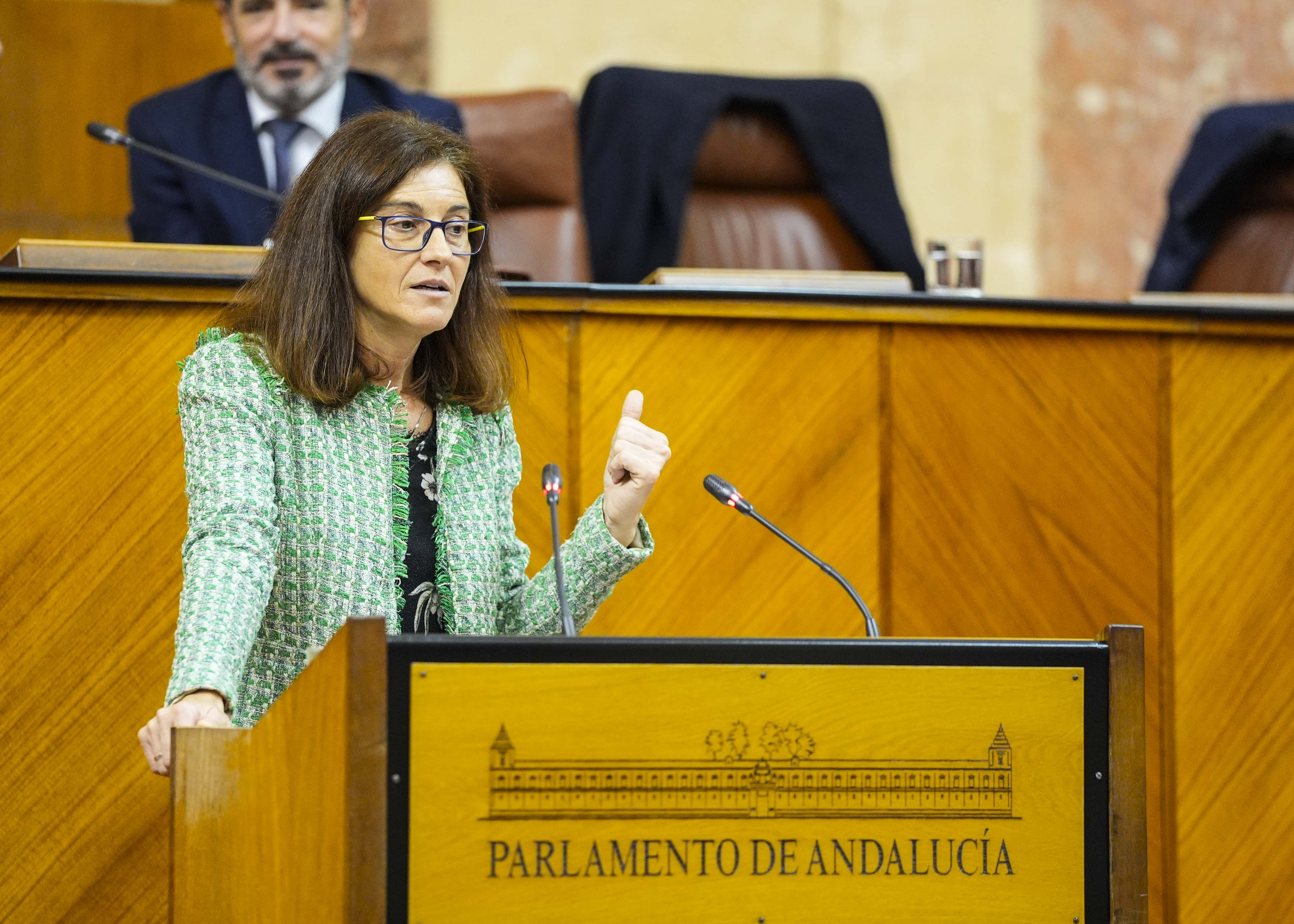 Mara del Pilar Navarro, del Grupo Socialista, defiende una enmienda a la totalidad al proyecto de ley de gestin ambiental