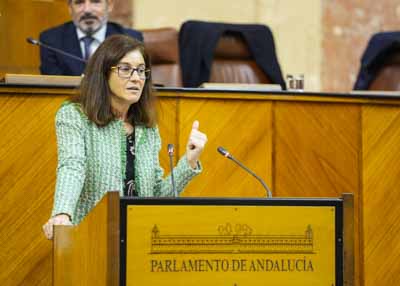 Mara del Pilar Navarro, del Grupo Socialista, defiende una enmienda a la totalidad al proyecto de ley de gestin ambiental
