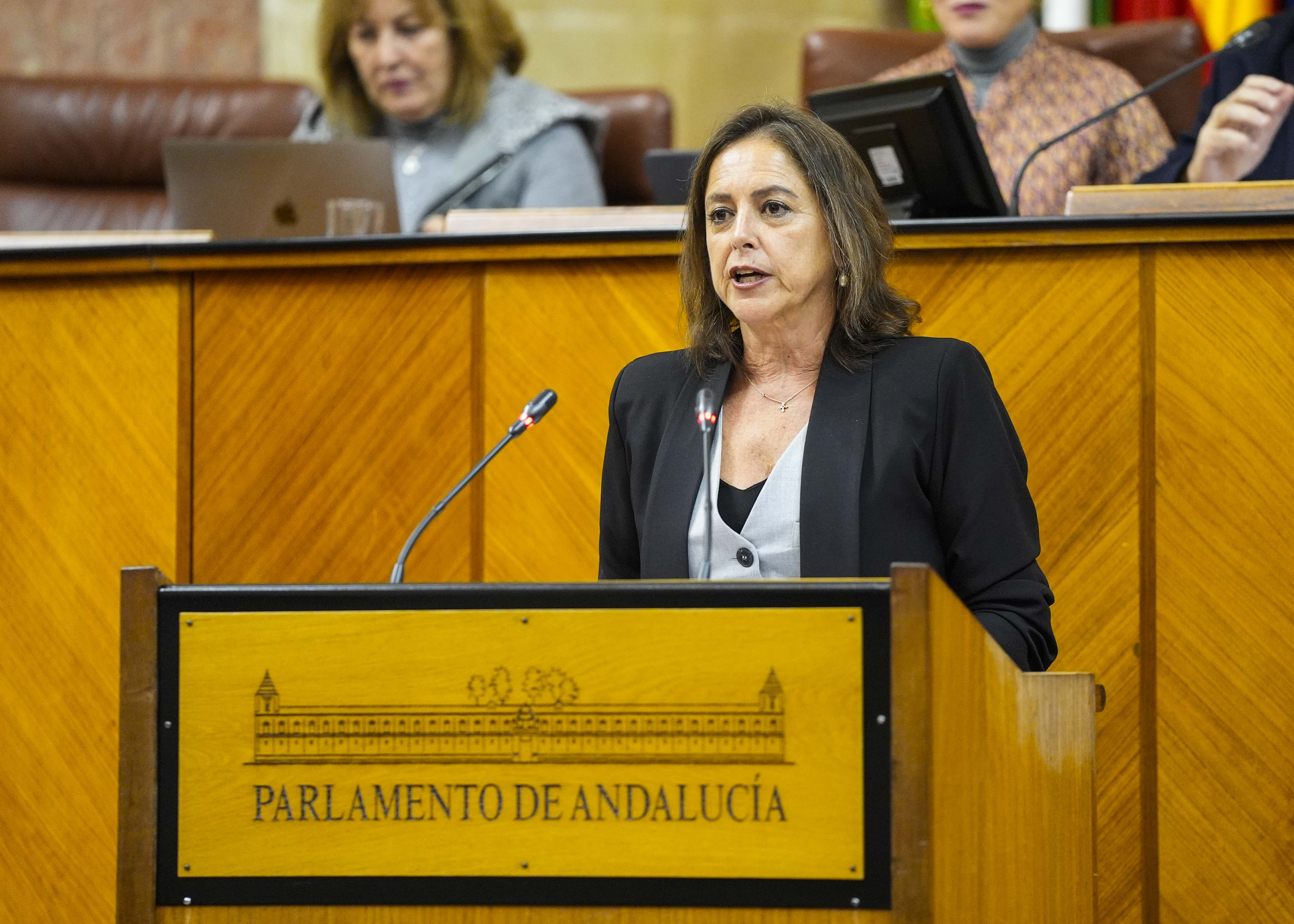 La consejera de Sostenibilidad y Medio Ambiente, Catalina Garca, inicia el debate de totalidad del Proyecto de Ley de Montes de Andaluca   