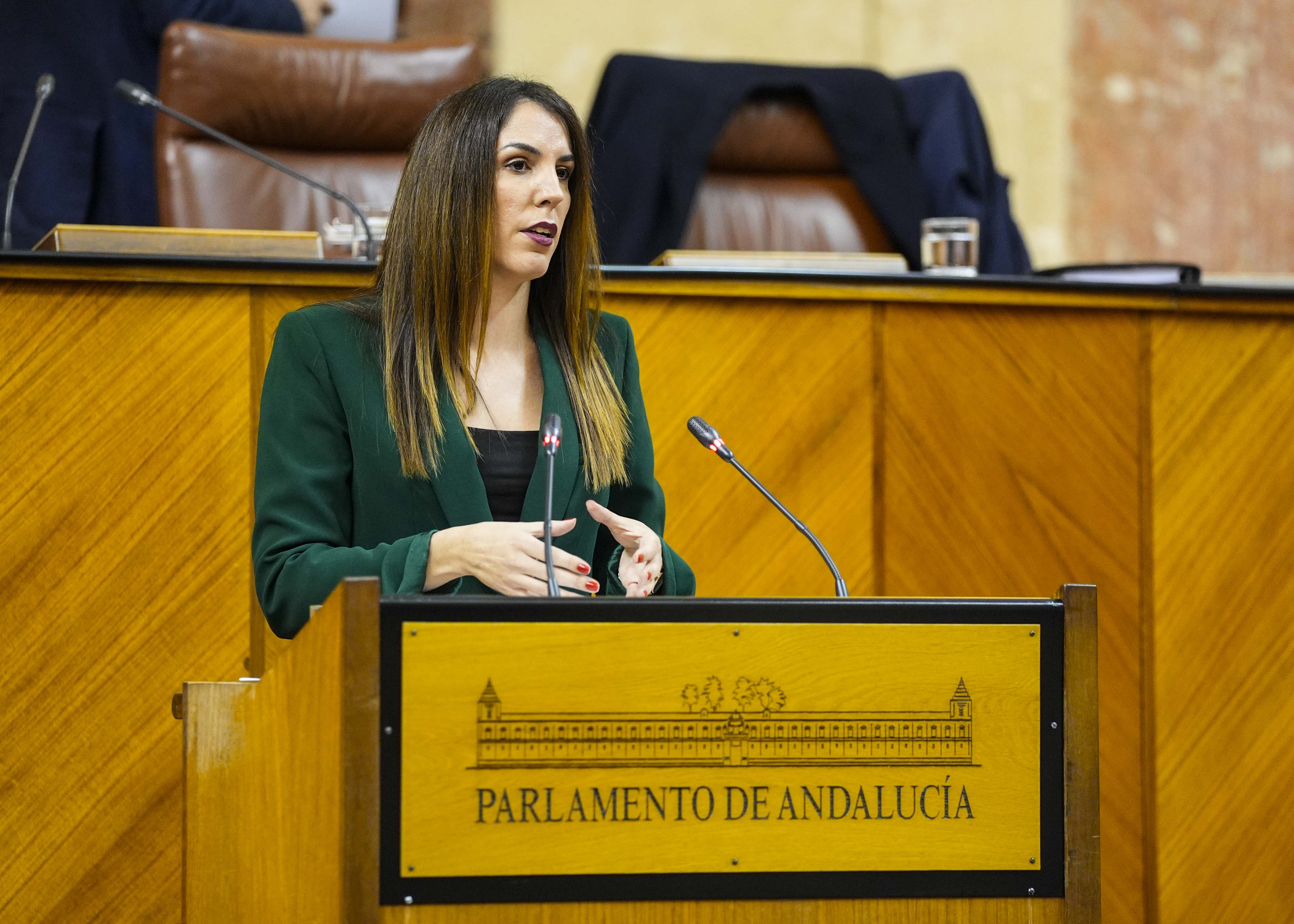  Para posicionar al Grupo Vox en Andaluca toma la palabra la diputada Purificacin Fernndez 