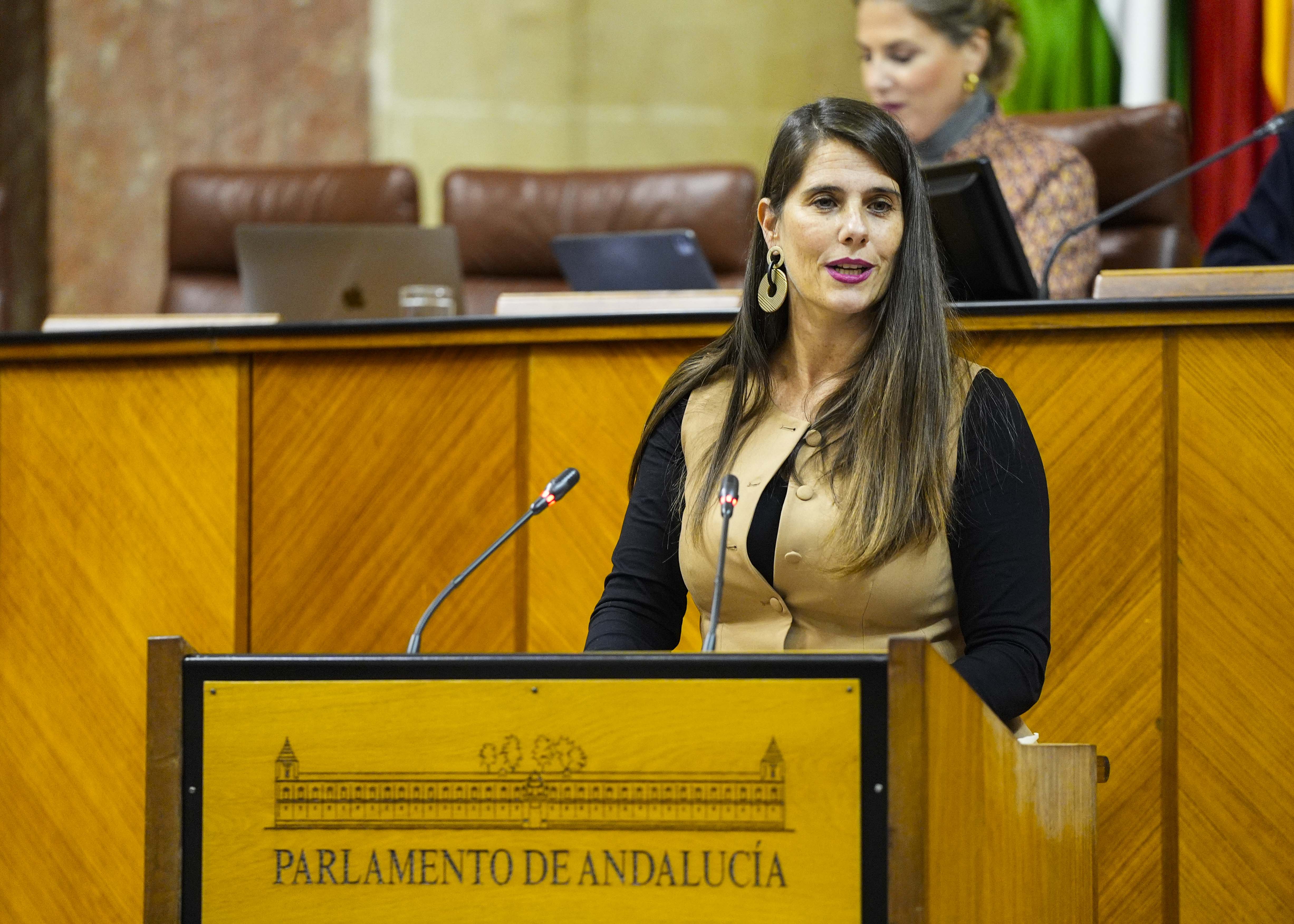  Araceli Cabello posiciona al Grupo Popular en el debate del proyecto de ley 