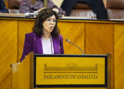  Mar�a �ngeles Prieto, del Grupo Socialista, defiende una moci�n relativa a pol�tica general en materia de salud mental