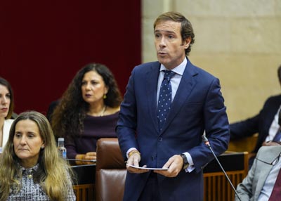 Javier Cort�s, presidente del G.P. Vox, inicia la sesi�n de control con una pregunta relativa a la mejora en la gesti�n de contratos sanitarios  