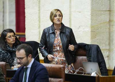 Mar�a Jos� Escarcena, del Grupo Popular, pregunta a la consejera de Econom�a sobre el apoyo a los sectores econ�micos andaluces 