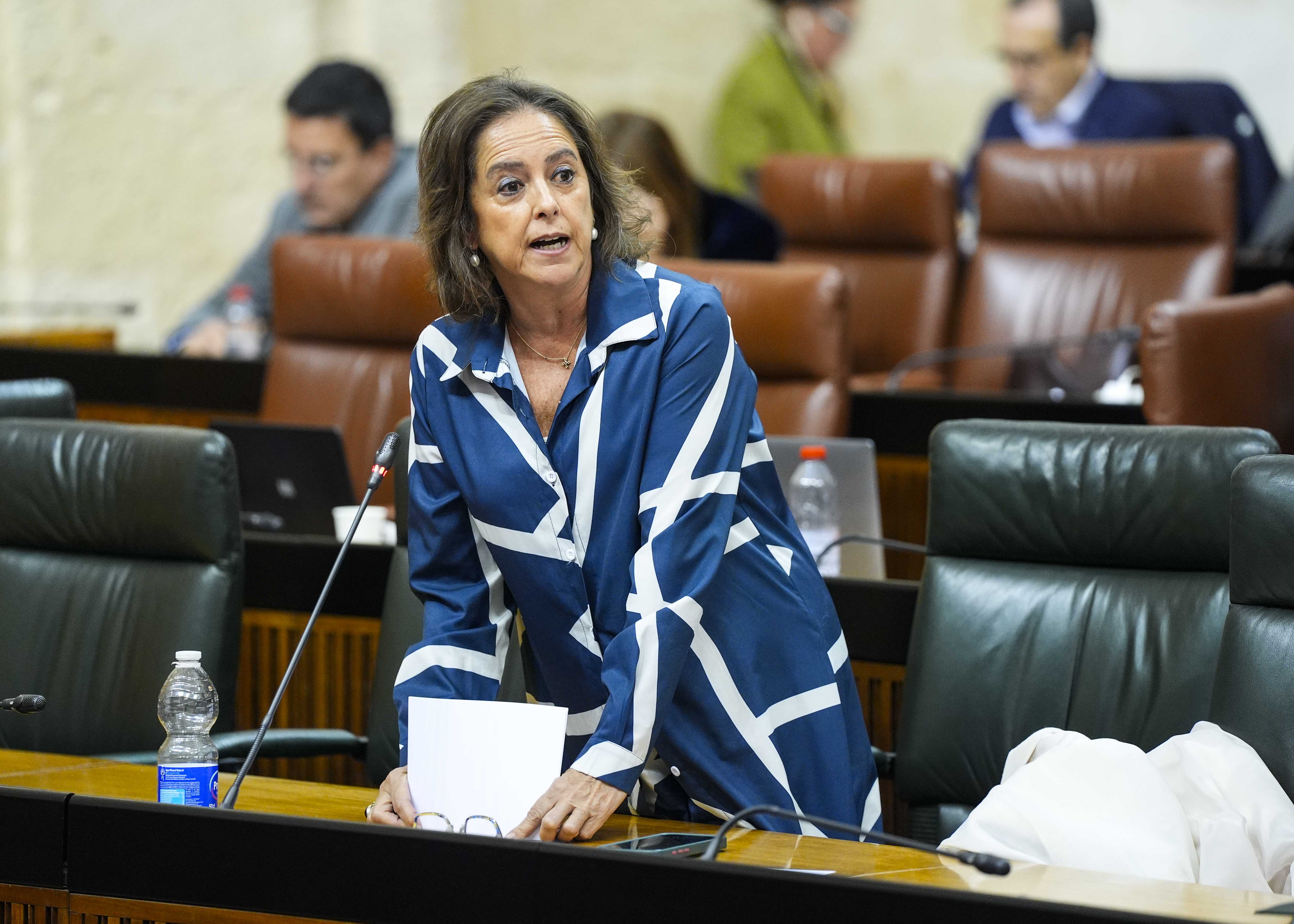 Contesta Catalina Garc�a, consejera de Sostenibilidad y Medio Ambiente 