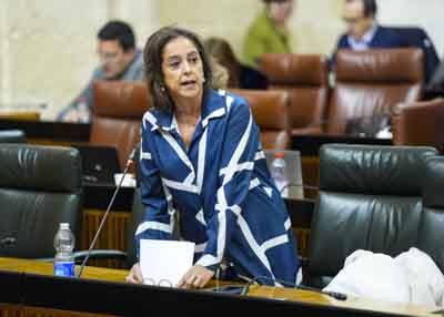 Contesta Catalina Garc�a, consejera de Sostenibilidad y Medio Ambiente 