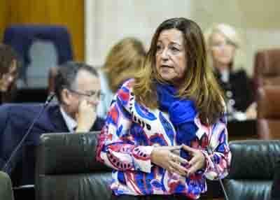 Mar�a del Carmen Castillo, consejera de Desarrollo Educativo y Formaci�n Profesional, responde 