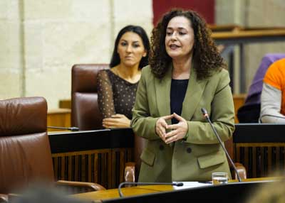 Inmaculada Nieto, portavoz del Grupo Por Andaluc�a, pregunta al presidente por la �tica en su acci�n pol�tica 
