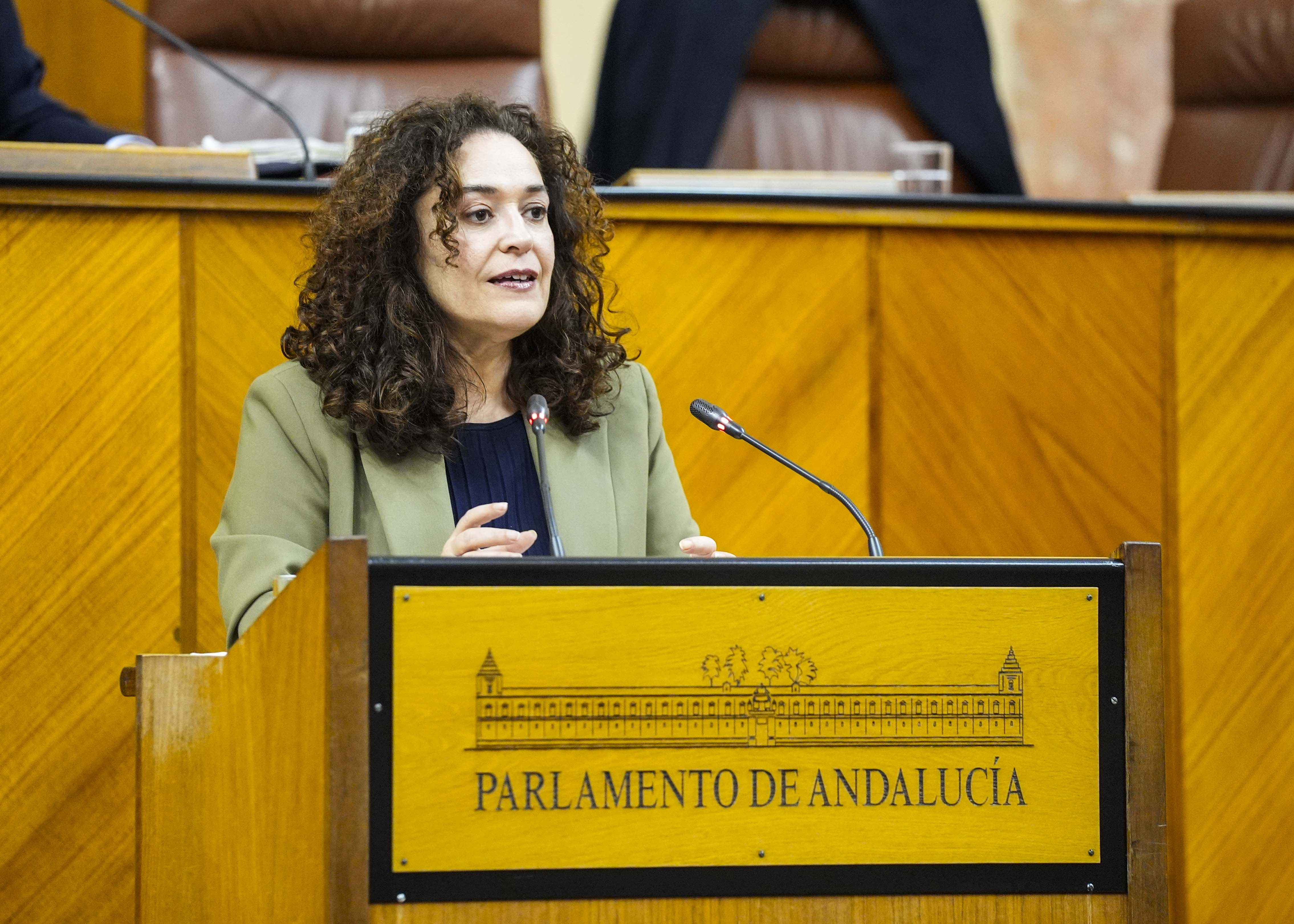 La portavoz del G.P. Por Andaluc�a, Inmaculada Nieto, presenta una PNLP relativa a la publicaci�n de las listas de espera y tiempos de demora de pruebas diagn�sticas 