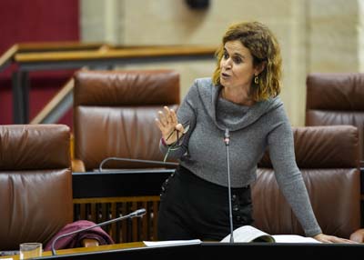  En nombre de Por Andaluc�a, Esperanza G�mez pregunta sobre el soterramiento del trazado de la l�nea 3 sur del metro de Sevilla 