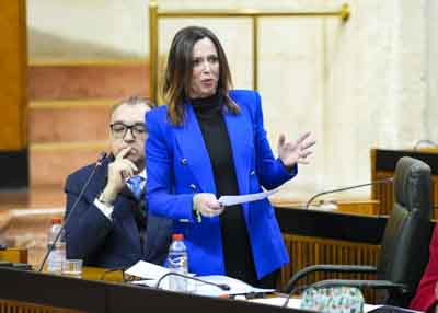 Roc�o D�az, consejera de Fomento, Articulaci�n del Territorio y Vivienda, responde 