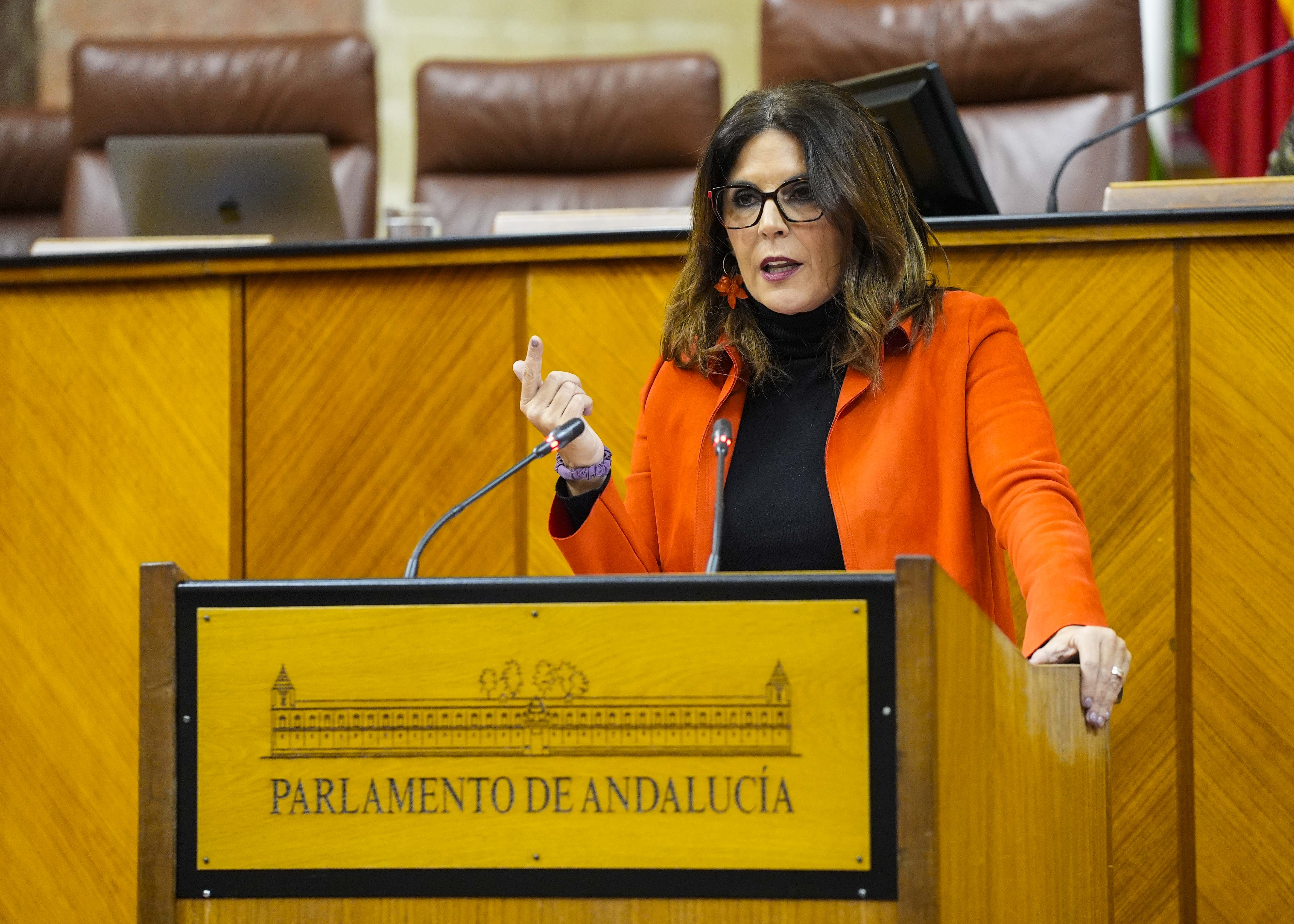 Mar�a de los �ngeles F�rriz, portavoz adjunta del Grupo Socialista, presenta una PNLP en defensa de la sanidad p�blica a propuesta de los GG.PP. Socialista, Por Andaluc�a y Mixto-Adelante Andaluc�a  