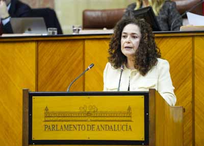  Inmaculada Nieto, portavoz de Por Andaluc�a, inicia el debate final del Proyecto de Ley del Patrimonio de la Comunidad Aut�noma de Andaluc�a 