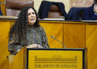 Ana Mar�a Ruiz, del Grupo Vox, posiciona a su formaci�n parlamentaria en el debate de la proposici�n de ley 