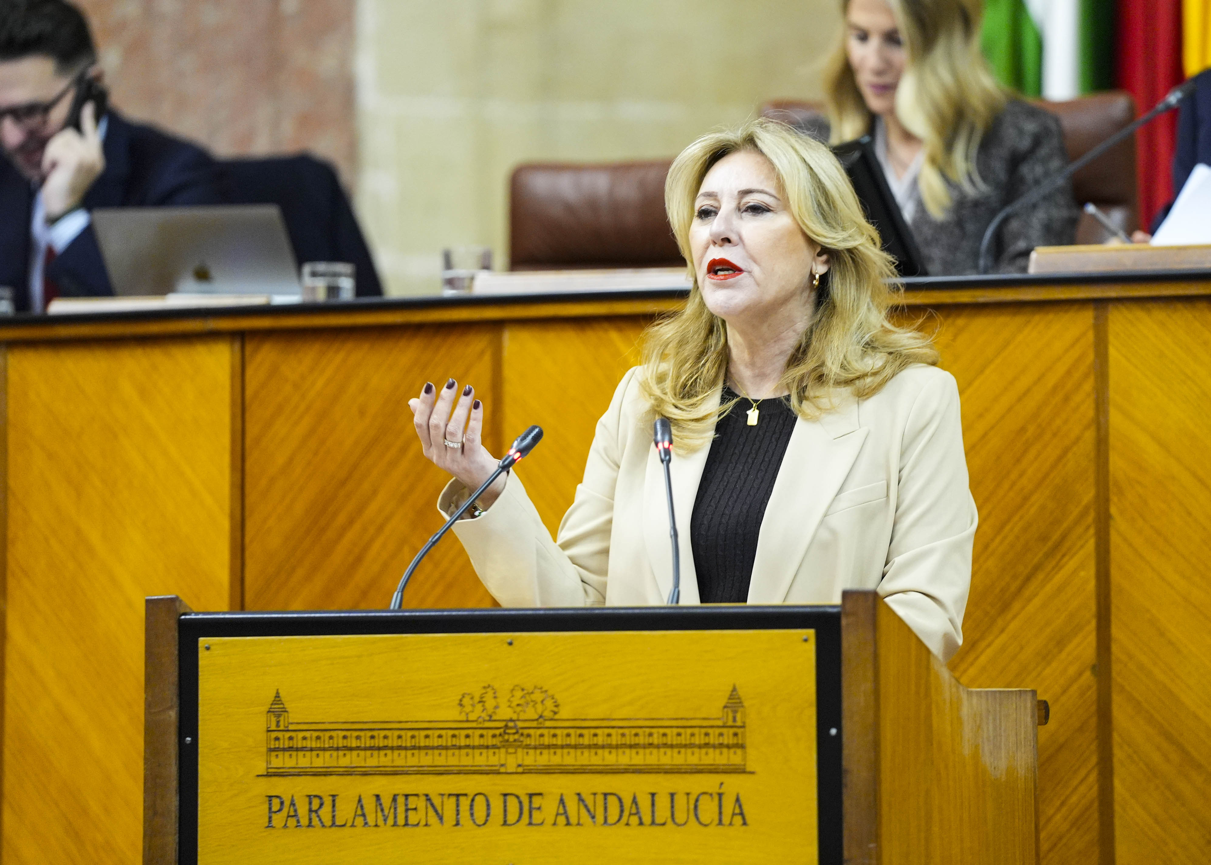 Carolina Espa�a, consejera de Econom�a, Hacienda, Fondos Europeos y Di�logo Social, finaliza el debate del proyecto de ley  