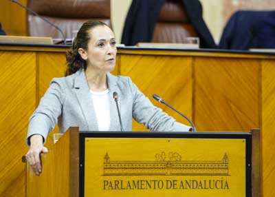   La diputada Mar�a Isabel Lozano, del Grupo Popular, cierra el debate de la proposici�n de ley