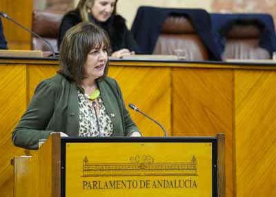  Cristina Alejandra Jim�nez, del Grupo Vox, toma la palabra en el debate de la proposici�n de ley 