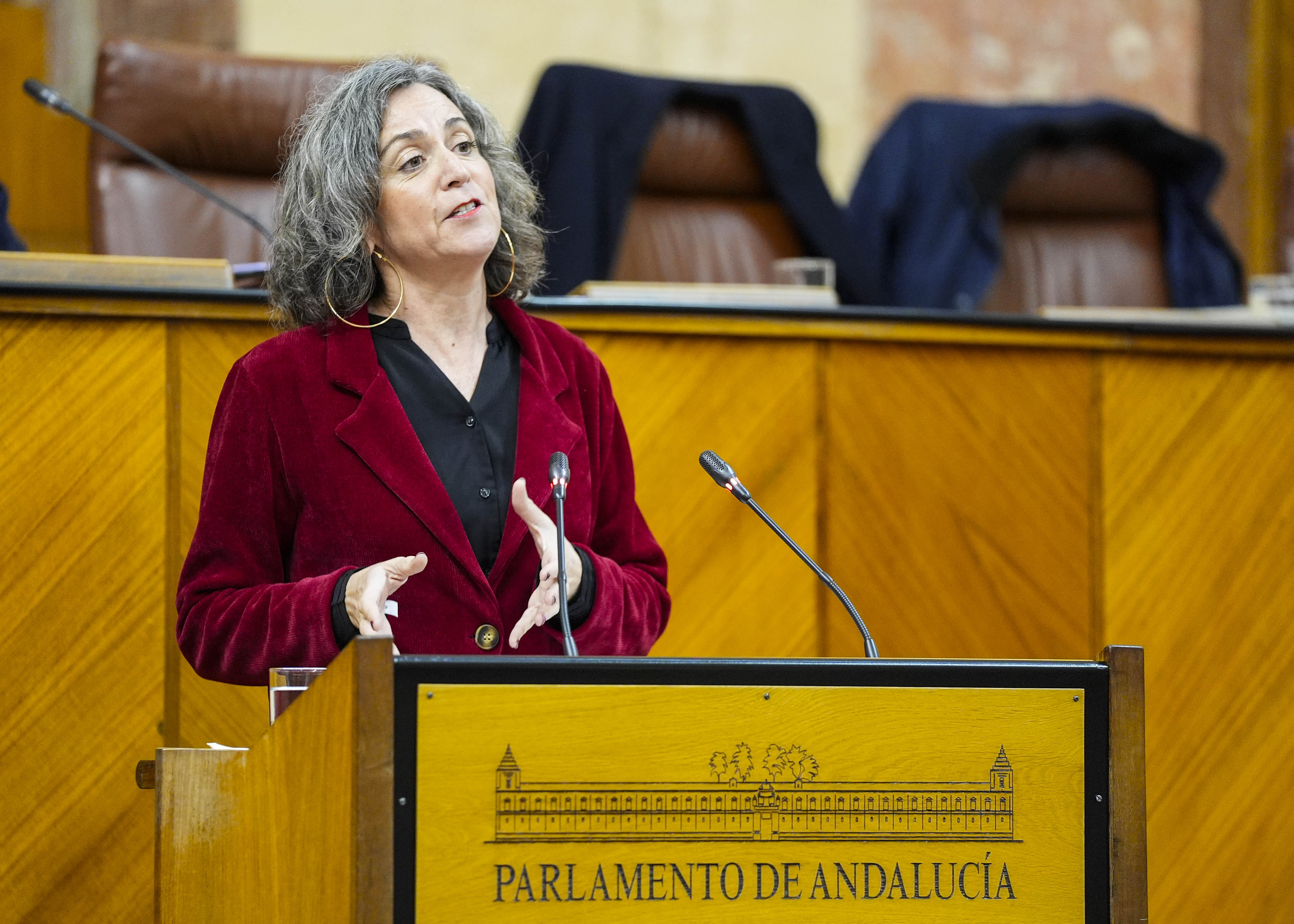      Miren Bego�e Iza, del G.P. Mixto-Adelante Andaluc�a, inicia con su intervenci�n el debate final del Proyecto de Ley del Presupuesto 