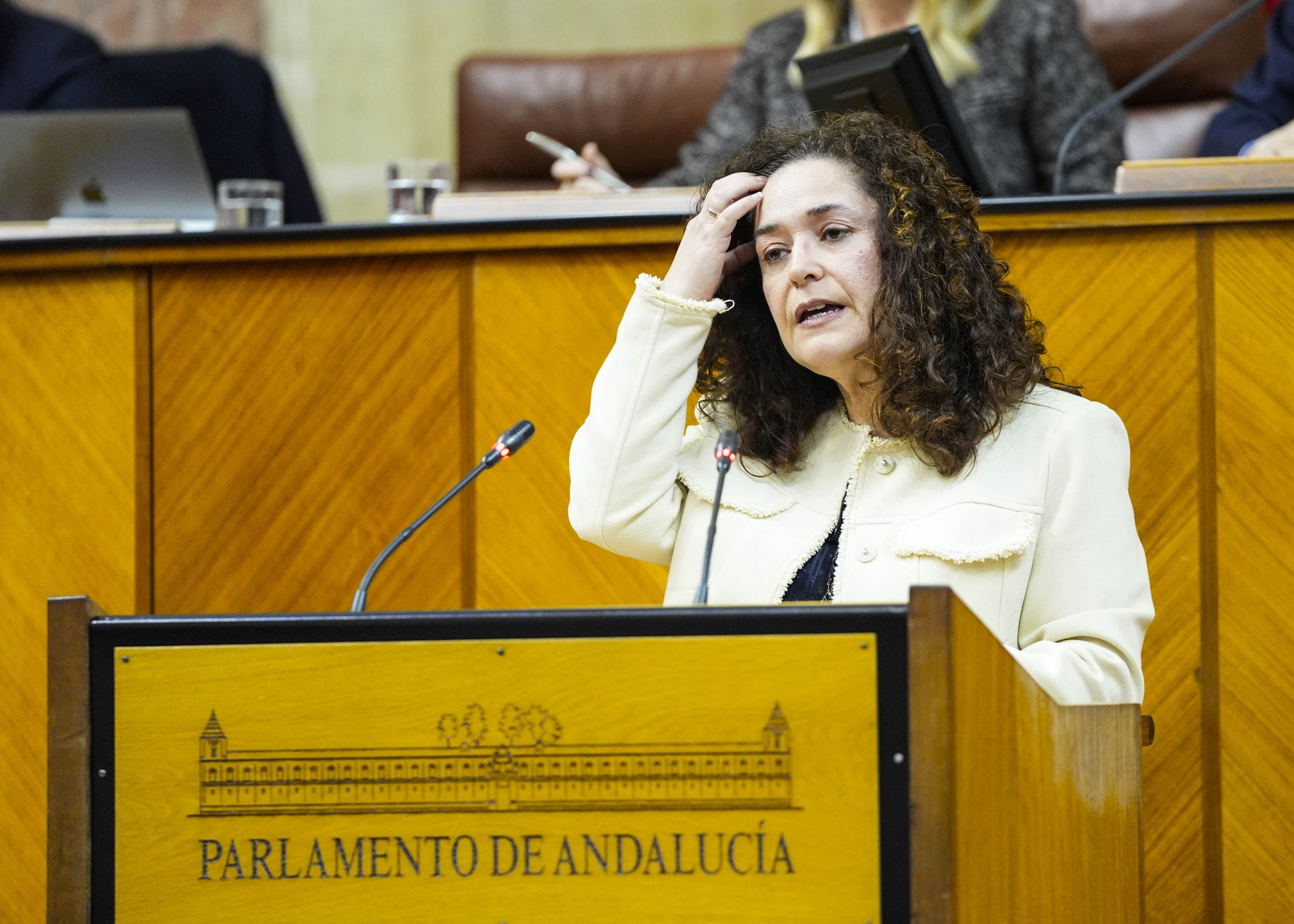  Toma la palabra Inmaculada Nieto, del Grupo Por Andaluc�a