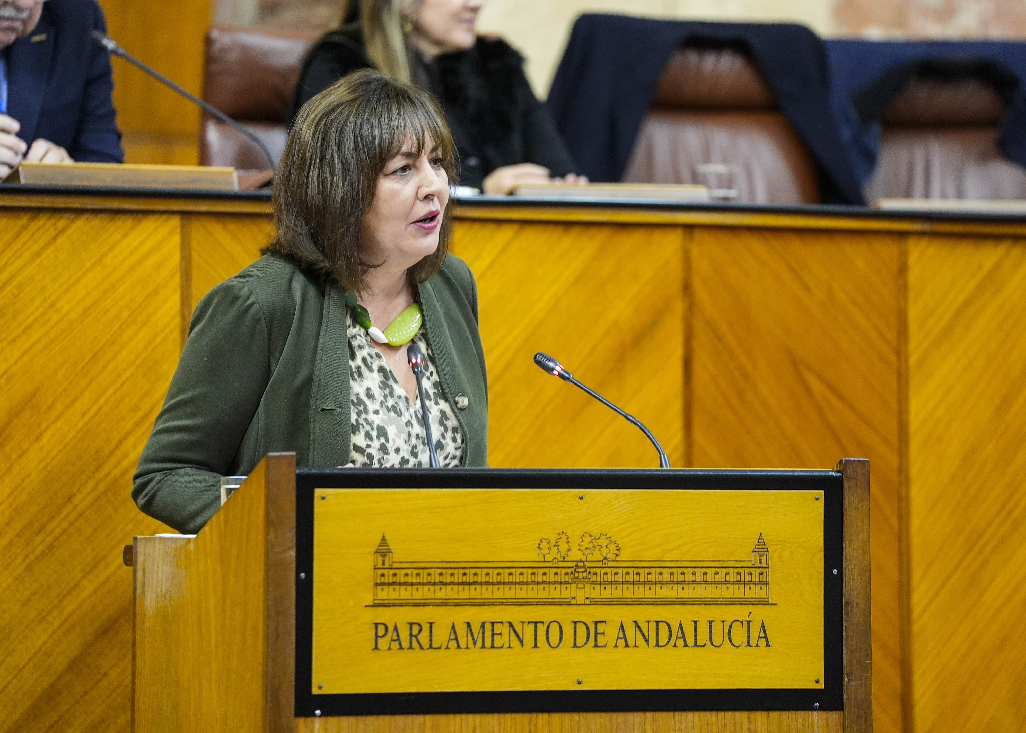 Cristina Alejandra Jim�nez, del Grupo Parlamentario Vox, durante el debate final