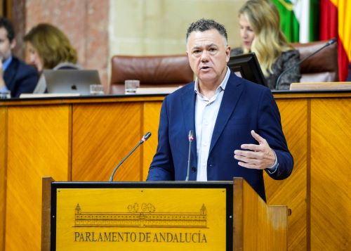 Juan Antonio Delgado, portavoz adjunto del Grupo Por Andaluc�a, interviene en el debate 
