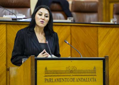 Alejandra Dur�n, portavoz adjunta del grupo Por Andaluc�a, durante su intervenci�n en el debate