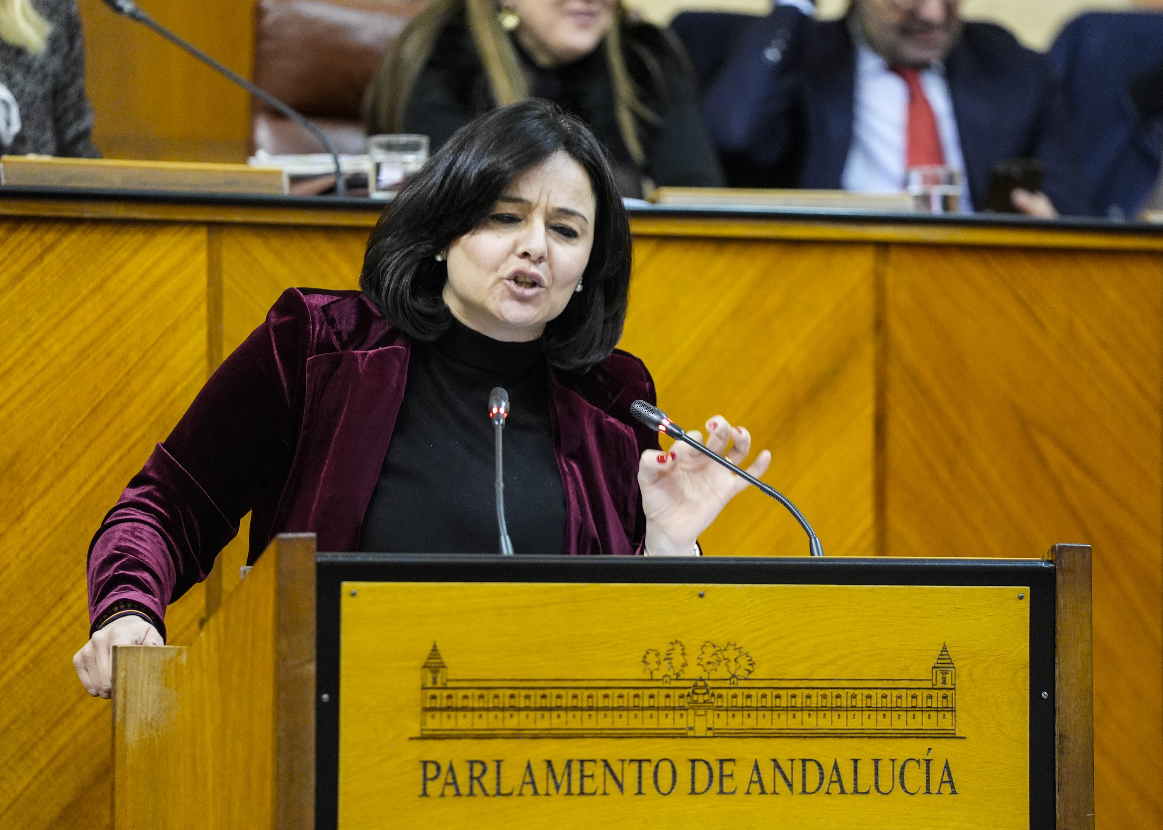 Para posicionar al Grupo Popular interviene Virginia P�rez 