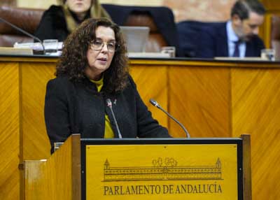  La diputada socialista Susana Rivas explica el posicionamiento de su grupo parlamentario
