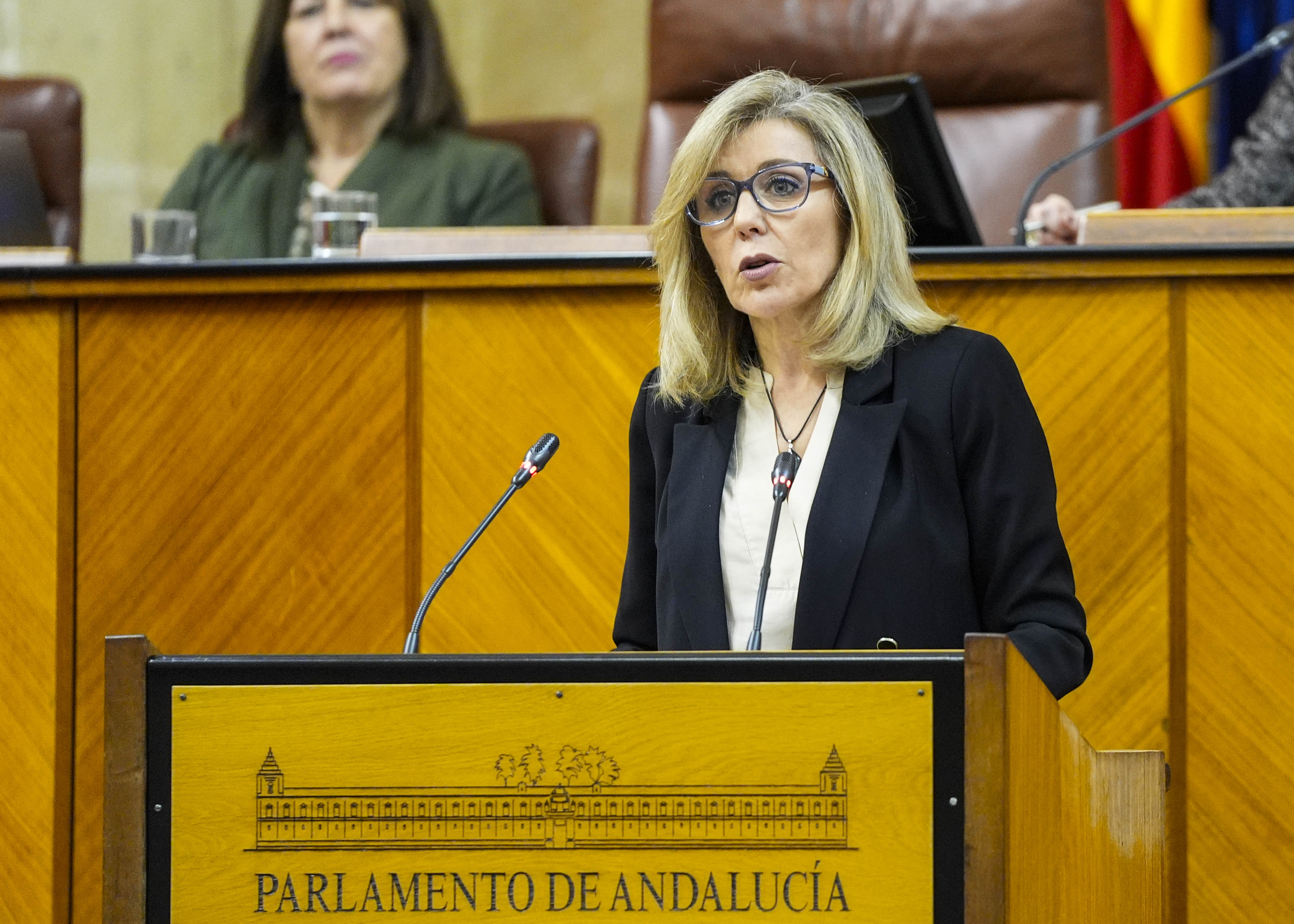  Interviene, en nombre del Grupo Parlamentario Socialista, Ana Mar�a Romero