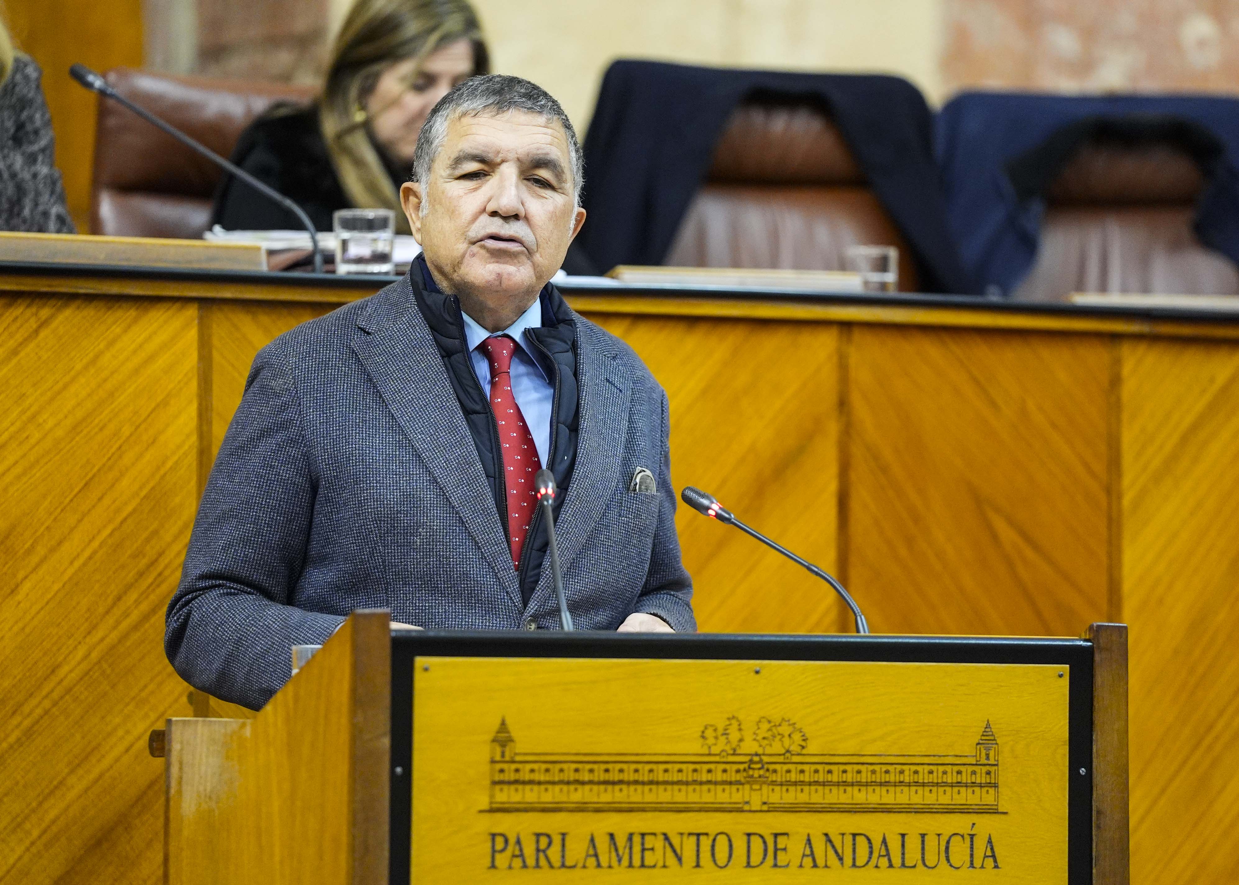   Gaspar Jos� Llanes, del Grupo Socialista, expresa el parecer de su grupo