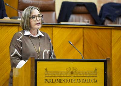   Toma la palabra Susana Gonz�lez, del Grupo Parlamentario Popular