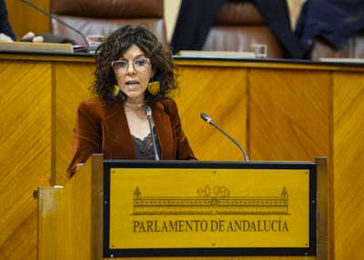  Toma la palabra Mar�a �ngeles Prieto en nombre del Grupo Parlamentario Socialista 