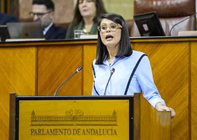 Por el Grupo Popular interviene la diputada �ngeles Mart�nez 