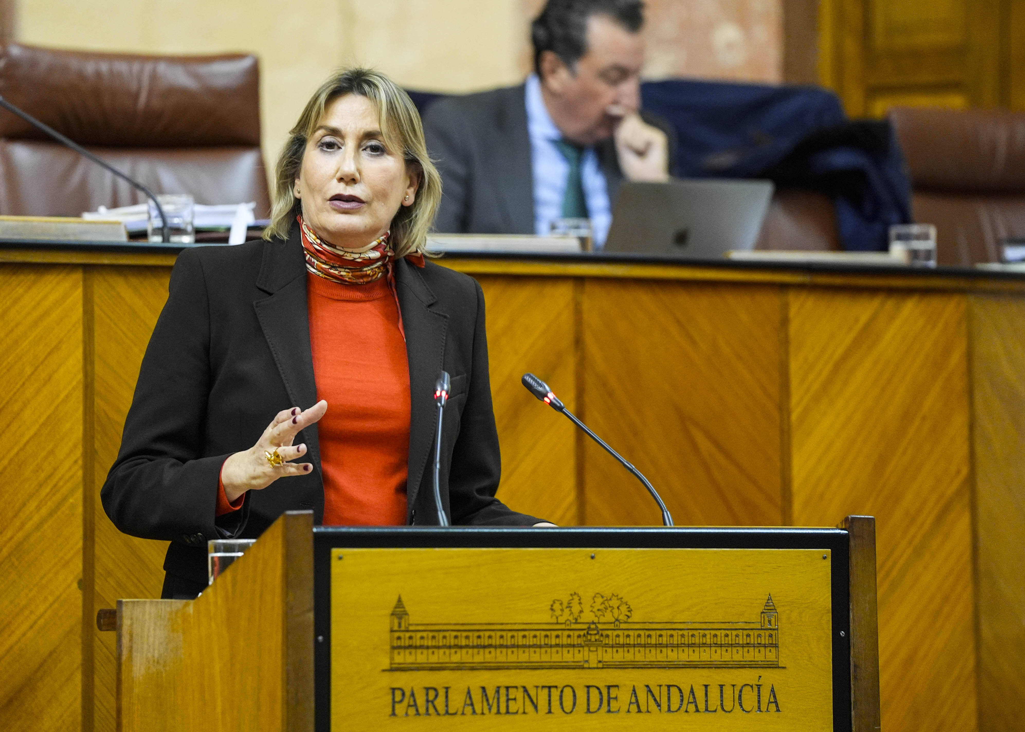 La diputada Isabel Mar�a Aguilera, del Grupo Socialista, en un momento de su intervenci�n