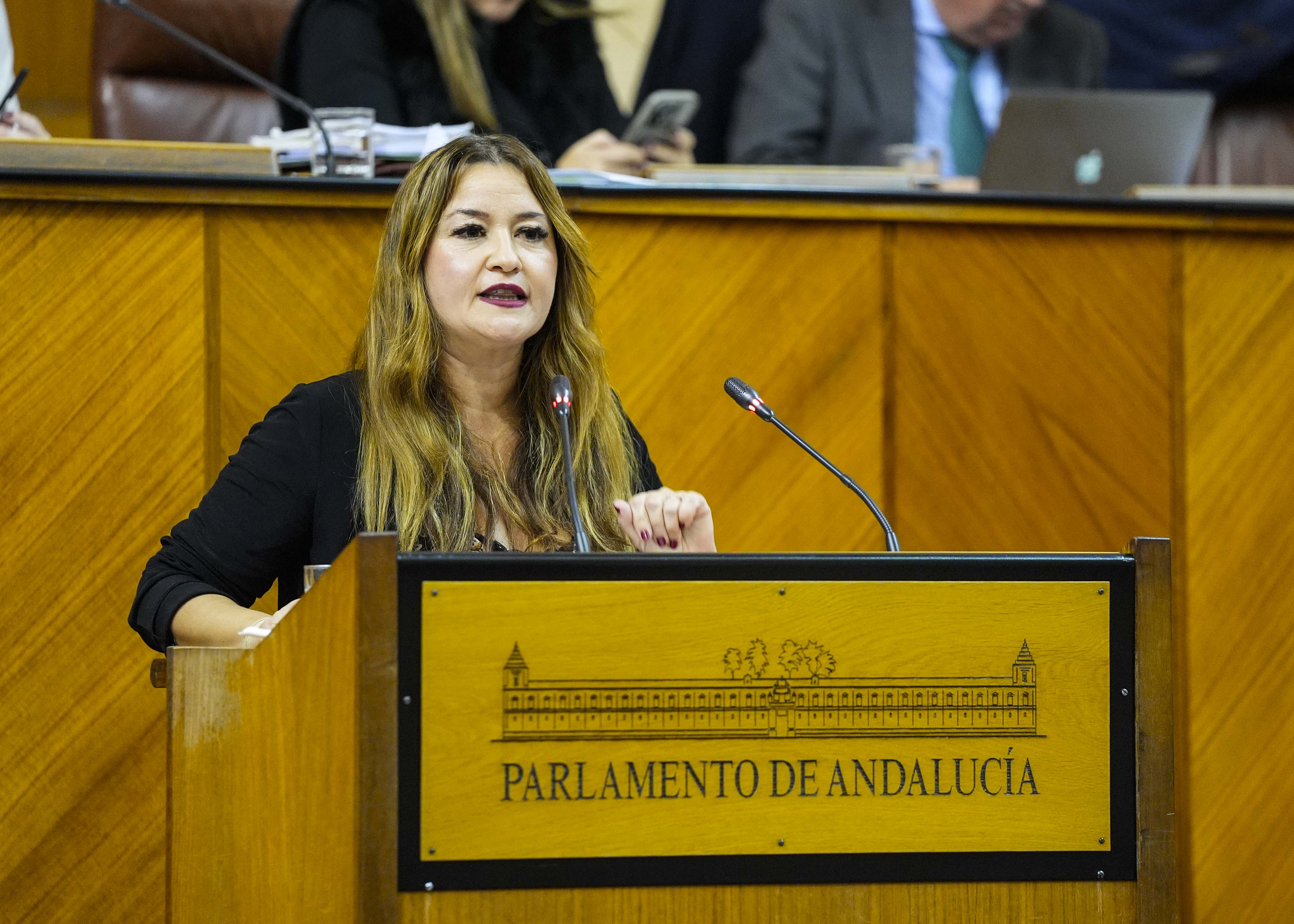 Ver�nica P�rez interviene en nombre del grupo Socialista