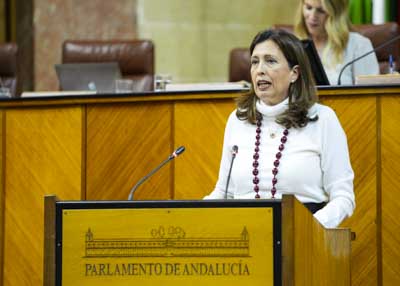 La diputada popular Ana Chocano interviene en el debate del proyecto de ley 