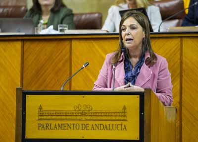   La diputada Isabel Ambrosio posiciona al Grupo Socialista 