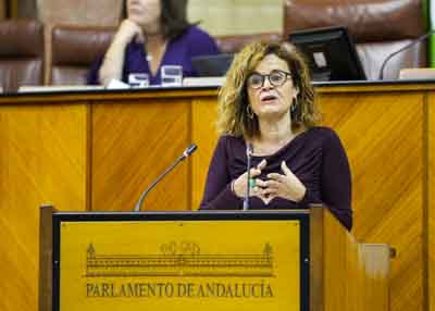 Esperanza G�mez, de Por Andaluc�a, defiende las enmiendas presentadas por su grupo a una de las secciones presupuestarias 