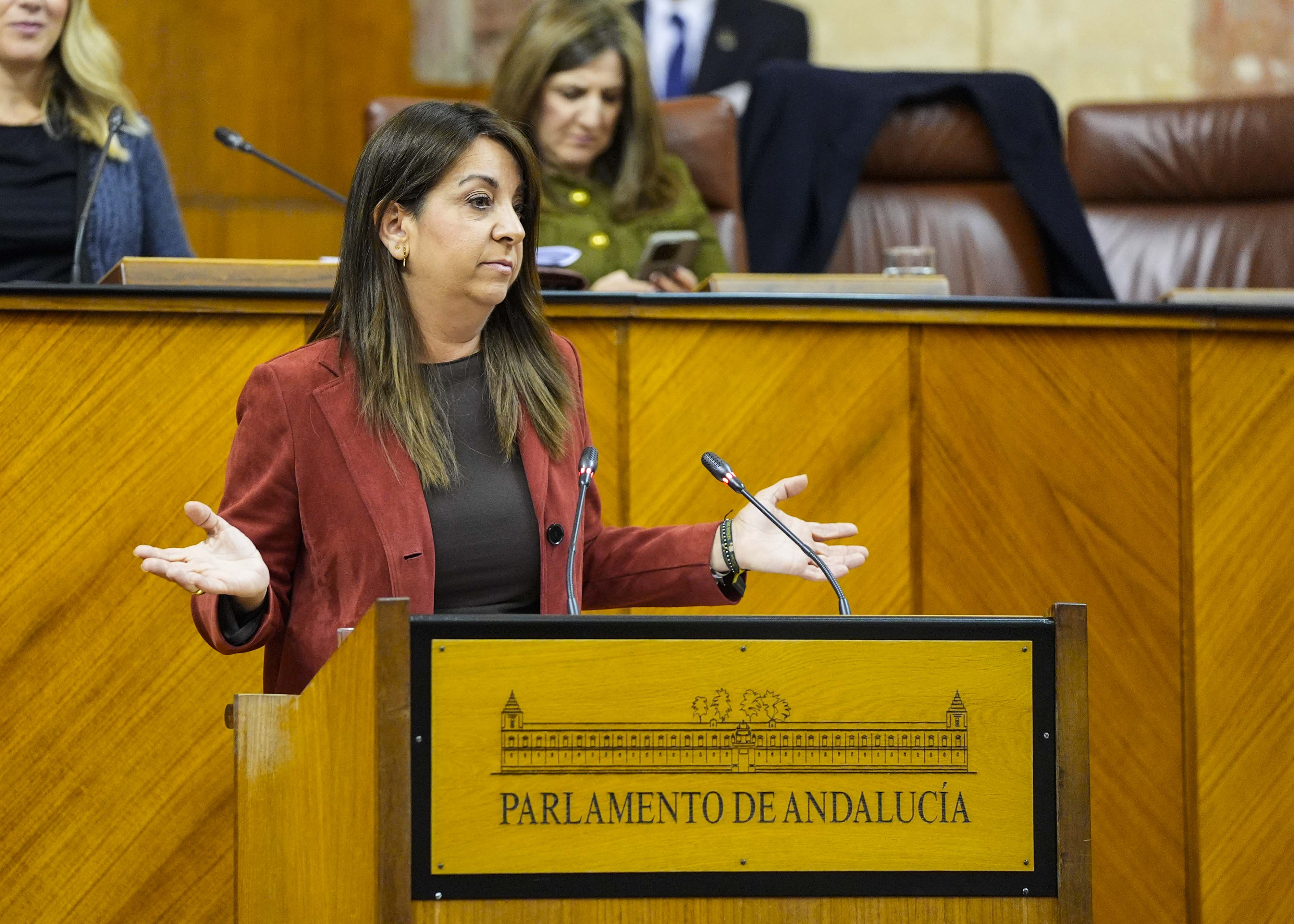 La diputada Encarnaci�n Mar�a Mart�nez defiende la posici�n del Grupo Parlamentario Socialista 