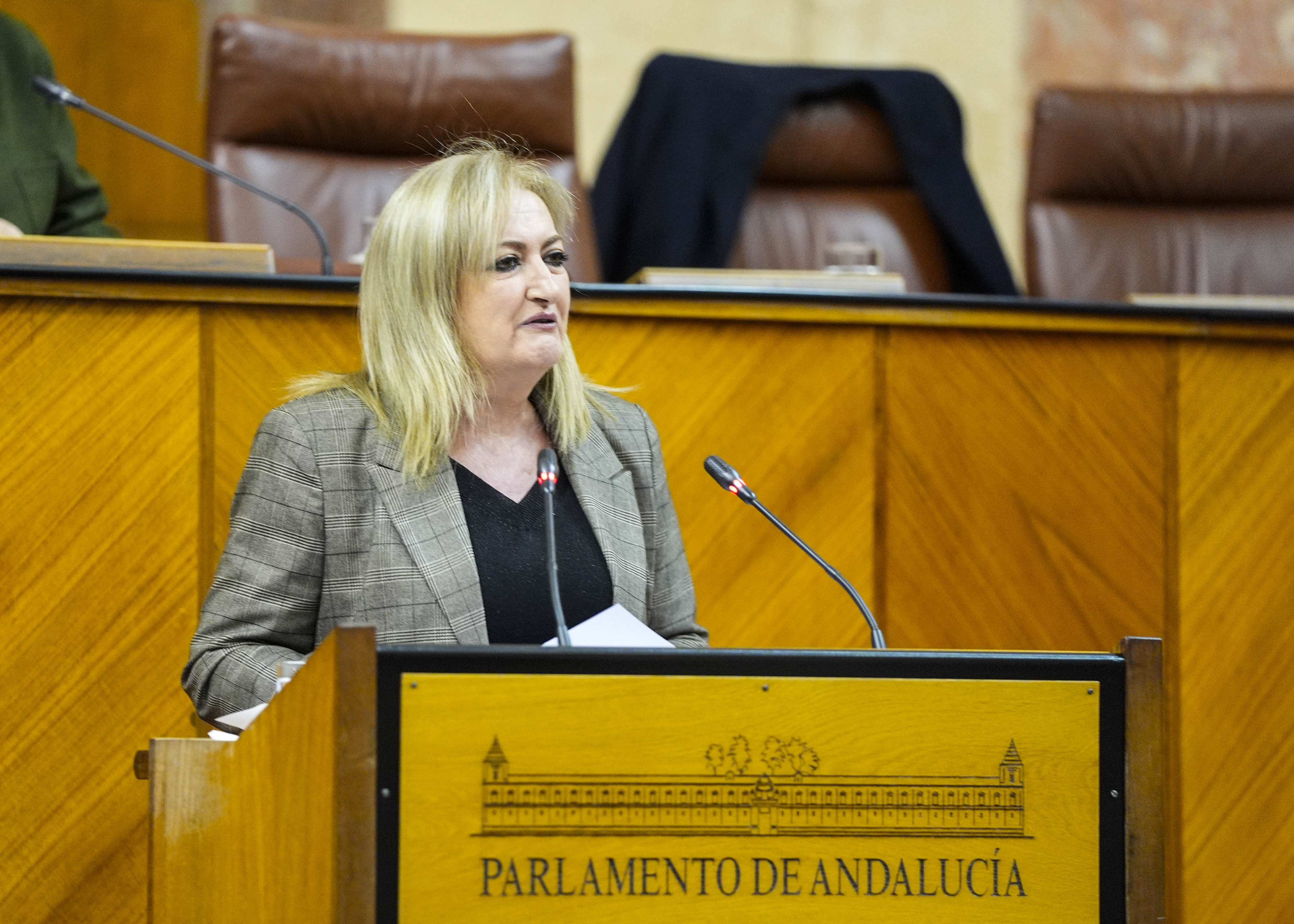 Celia Santiago, del Grupo Popular, defiende desde la tribuna de oradores la posici�n de su grupo 