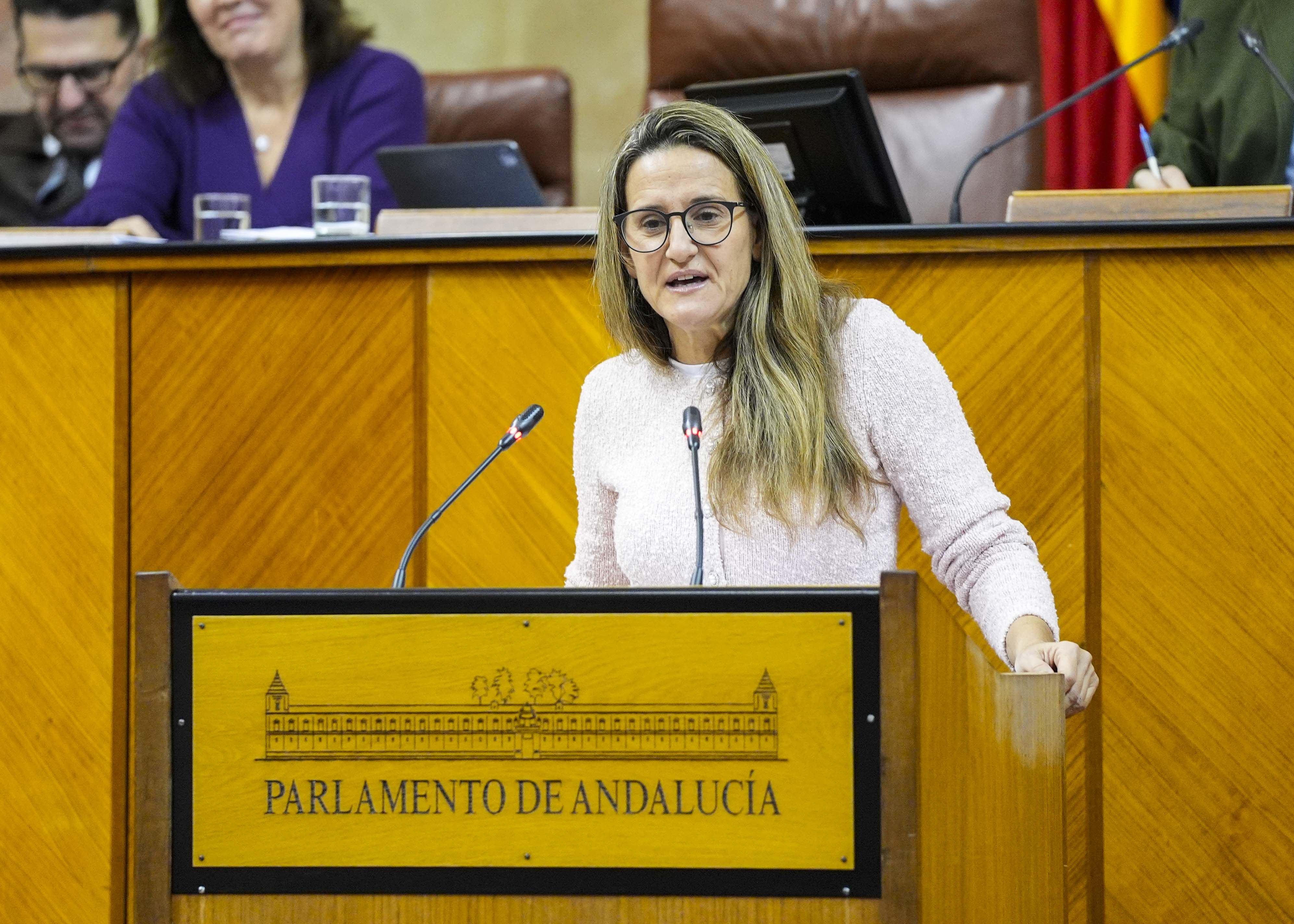 Por el Grupo Parlamentario Vox toma la palabra la diputada Montserrat Cervantes 
