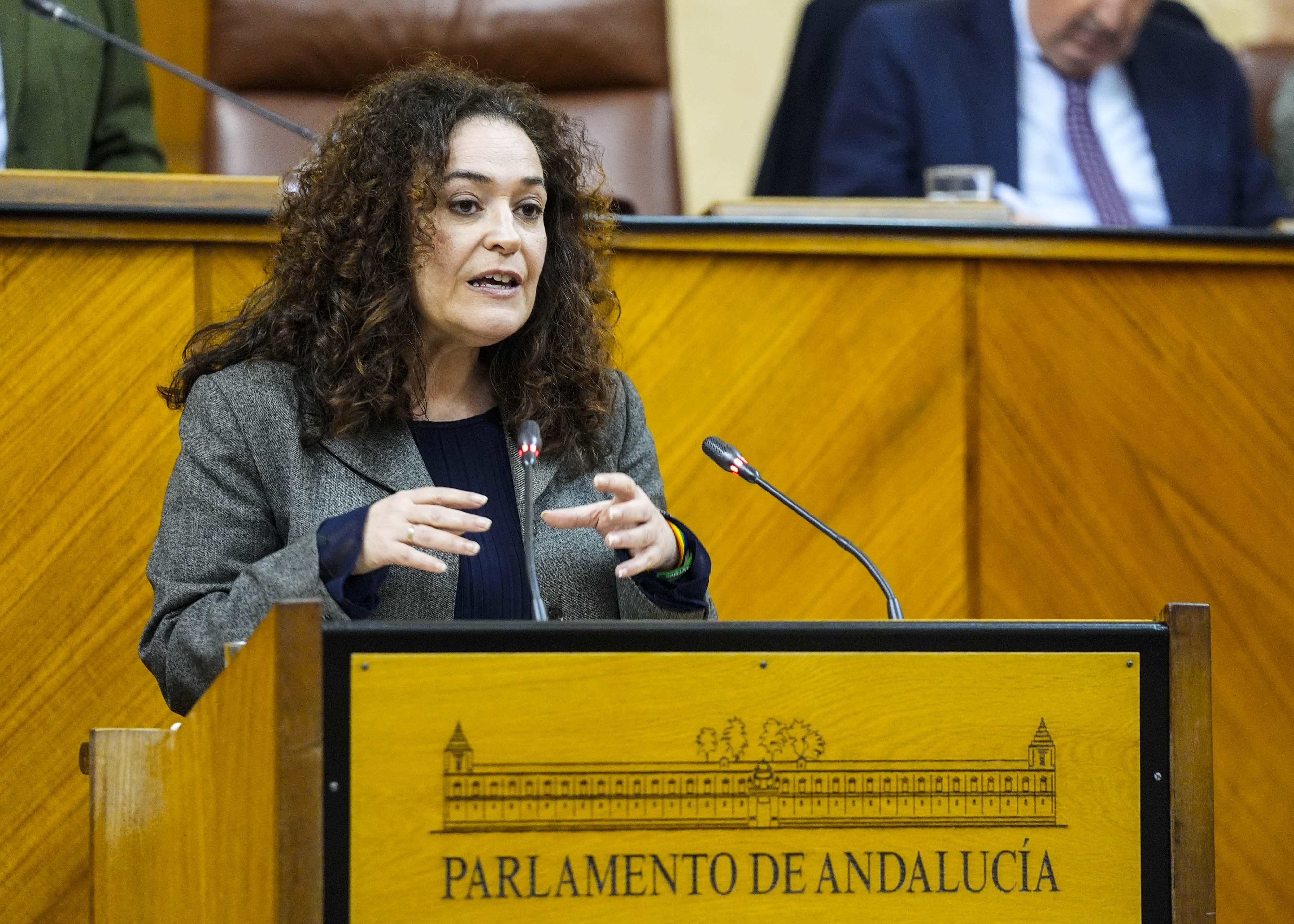 La portavoz del G.P. Por Andaluc�a, Inmaculada Nieto, durante su argumentaci�n 