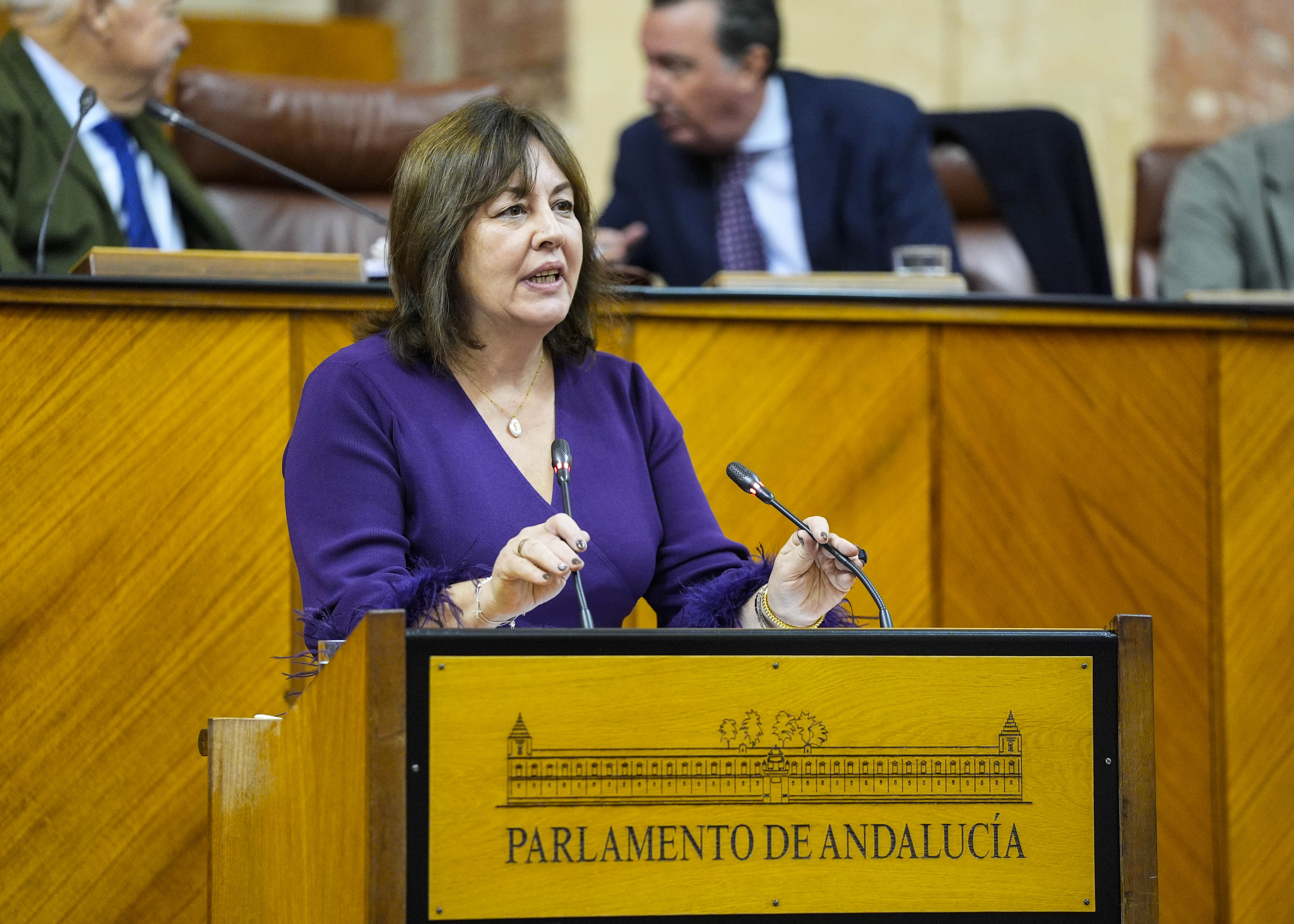 Cristina Alejandra Jim�nez, del Grupo Vox en Andaluc�a, expone la opini�n de su grupo 