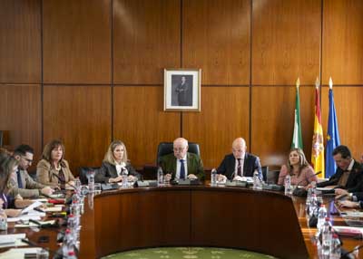 La Mesa de la Diputaci�n Permanente en la sesi�n mantenida hoy 