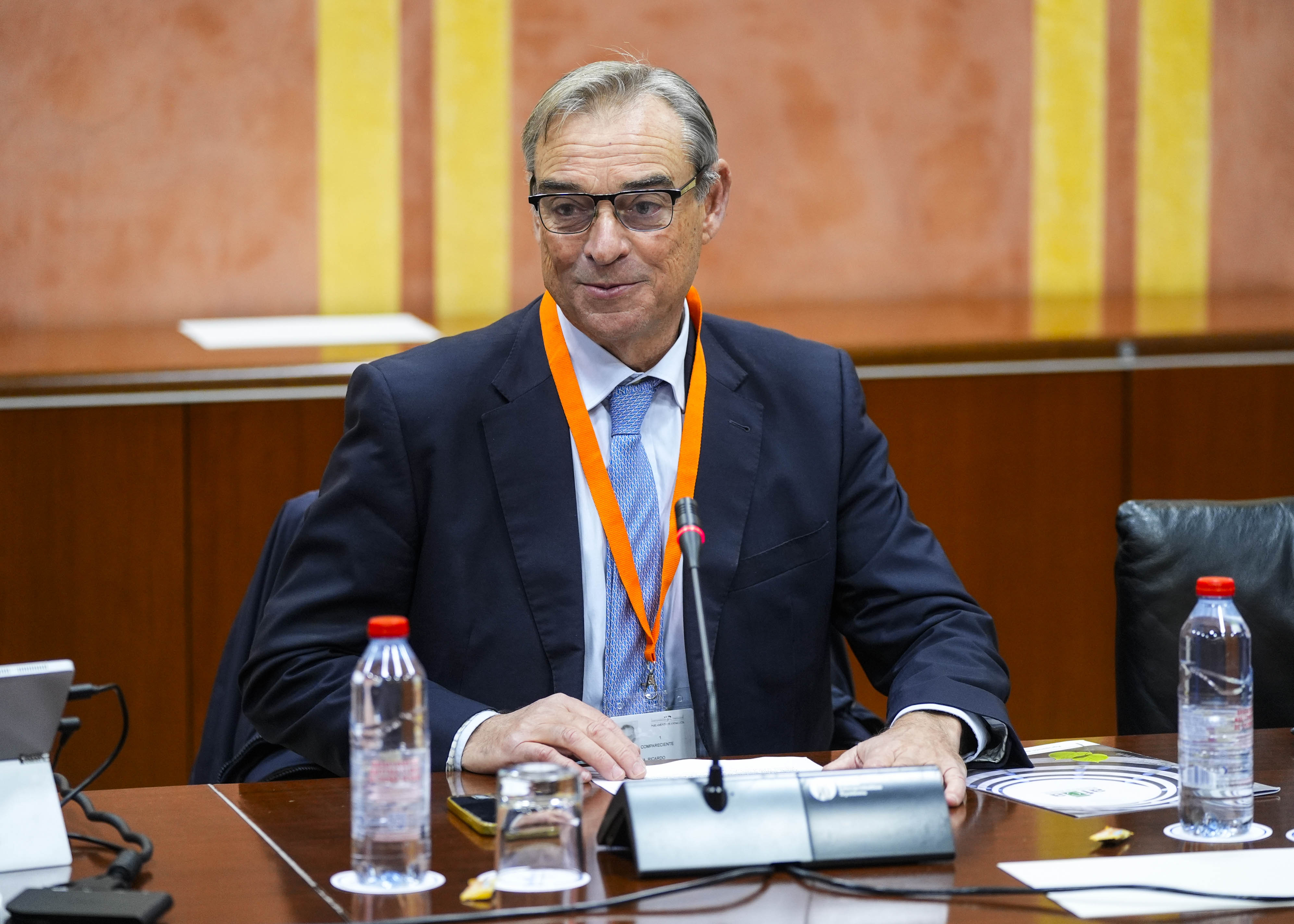  En representaci�n de la Agrupaci�n de Fabricantes de Cemento de Andaluc�a (AFCA) comparece Ricardo L�pez, director general